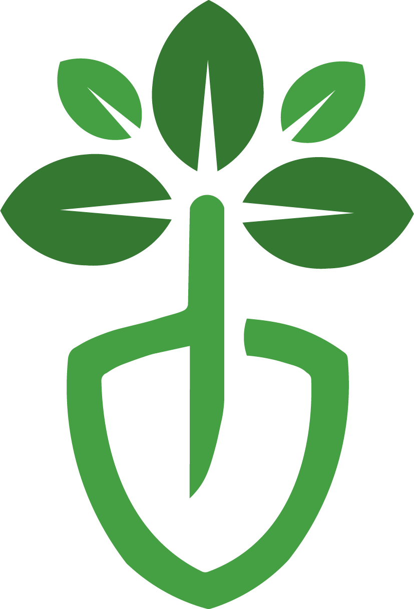 Bernbaum
